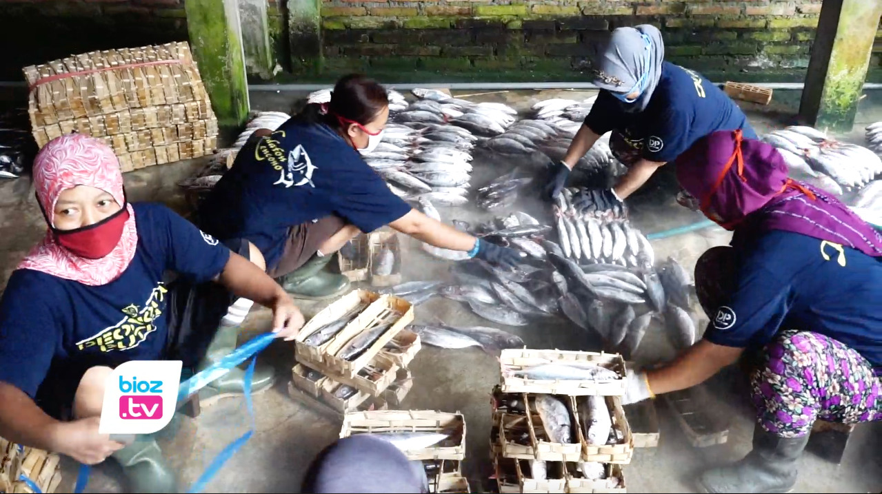 Blusukan di sentra pemindangan yang ada di Kecamatan Watulimo, Istri Cabup Trenggalek Nomor urut 2 apresiasi pelaku usaha pemindangan yang sudah lengkapi tempat usahanya dengan Instalasi Pengolahan Air Limbah (IPAL). Novita juga mendorong agar mereka juga lengkapi usahanya dengan sertifikat BPOM.