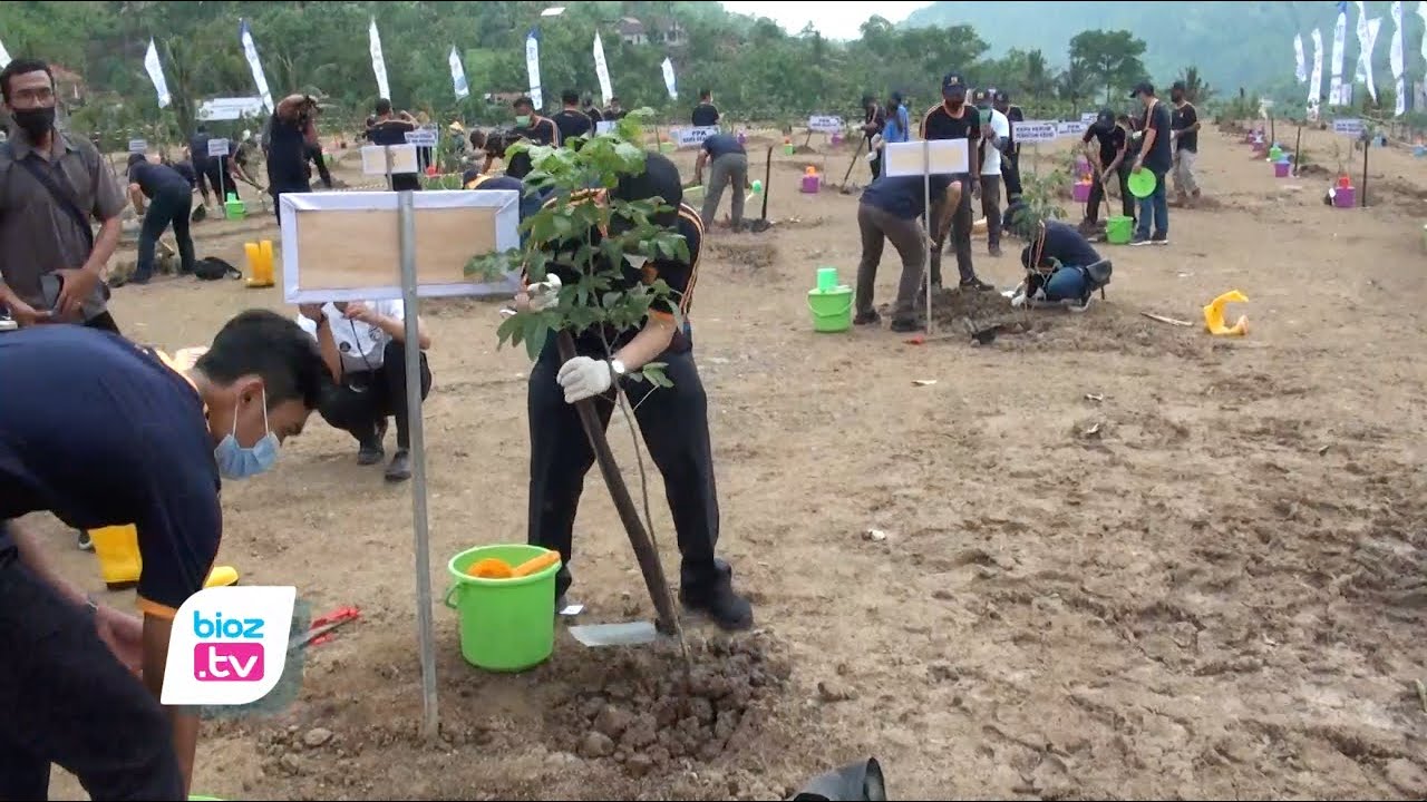 Peringati hari bakti PUPR ke 75, Green belt bendungan Tugu menjadi sasaran penanaman pohon Balai Besar Wilayah Sungai (BBWS) Brantas beserta pihak terkait. Mulai dari ungsur Forkopimda, jajaran pemerintah Kecamatan, pemerintah tingkat desa, Masayarakat, hingga organisasi kemasyarakatan lainnya.