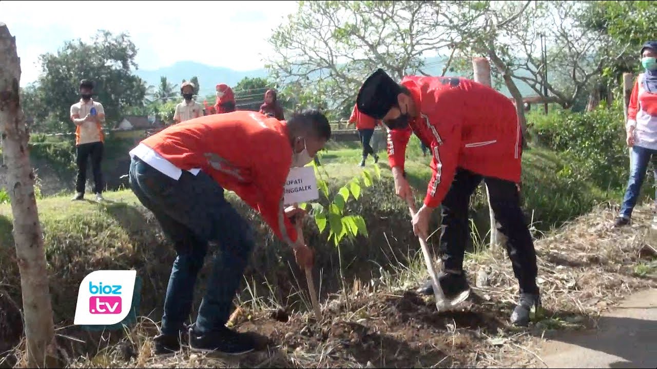Peringati HUT PDI Perjuangan ke 48 pada tahun 2021, DPC Trenggalek rayakan momen sakral dengan mencintai lingkungan dan menjaga ekosistem. di muka bumi. Kegiatan tersebut diwujudkan dengan gerakan penanaman pohon secara serentak di beberapa titik. Salah satunya di kawasan desa wisata Saung Ledokan Widoro (SLOW).