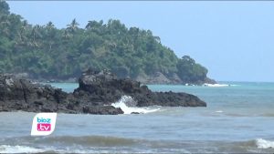 Pesisir selatan kaya akan benih bening lobster atau benur, Bupati ingin di Kabupaten Trenggalek bisa budidayakan lobster. Terlebih saat ini Kementrian Kelautan dan Perikanan RI juga melarang ekspor benur, dan hanya memperbolehkan dibudidayakan. Ekspor baru diperbolehkan setelah menjadi Lobster.