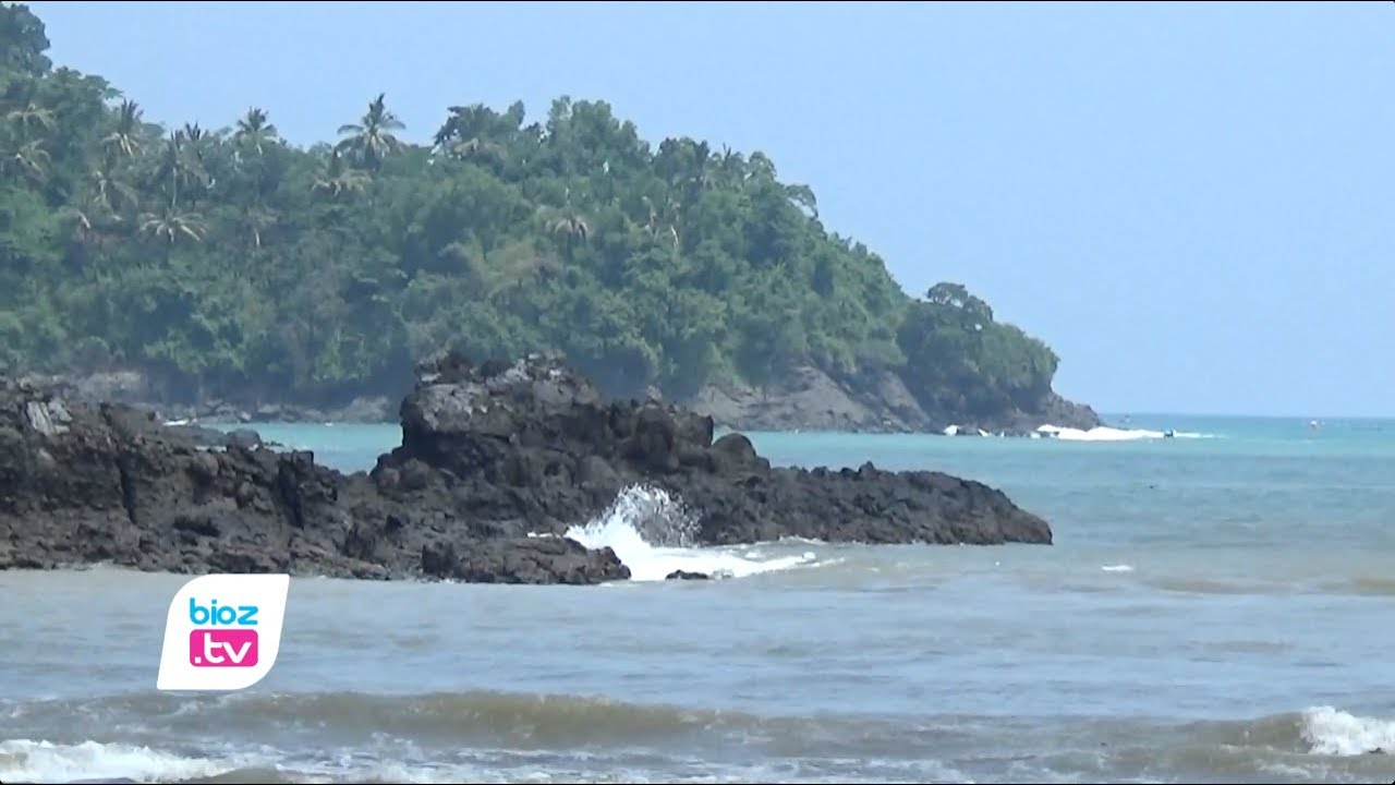 Pesisir selatan kaya akan benih bening lobster atau benur, Bupati ingin di Kabupaten Trenggalek bisa budidayakan lobster. Terlebih saat ini Kementrian Kelautan dan Perikanan RI juga melarang ekspor benur, dan hanya memperbolehkan dibudidayakan. Ekspor baru diperbolehkan setelah menjadi Lobster.