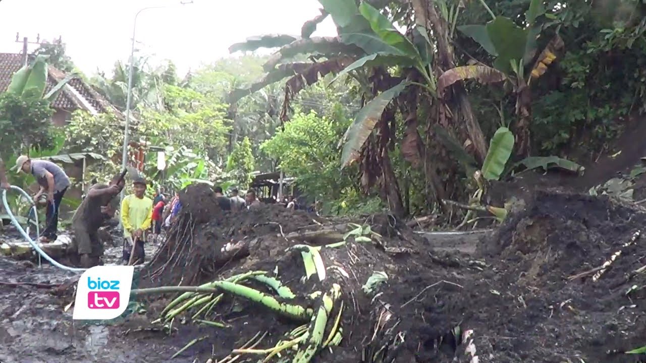 Diguyur hujan lebat disertai angin kencang, 4 Desa yang ada di Kecamatan Watulimo Kabupaten Trenggalek diterjang bencana tanah longsor dan pohon tumbang. Akibat kejadian ini sejumlah akses transportasi tertutup material longsor, Bahkan, satu rumah warga juga diketahui rusak akibat pohon tumbang.