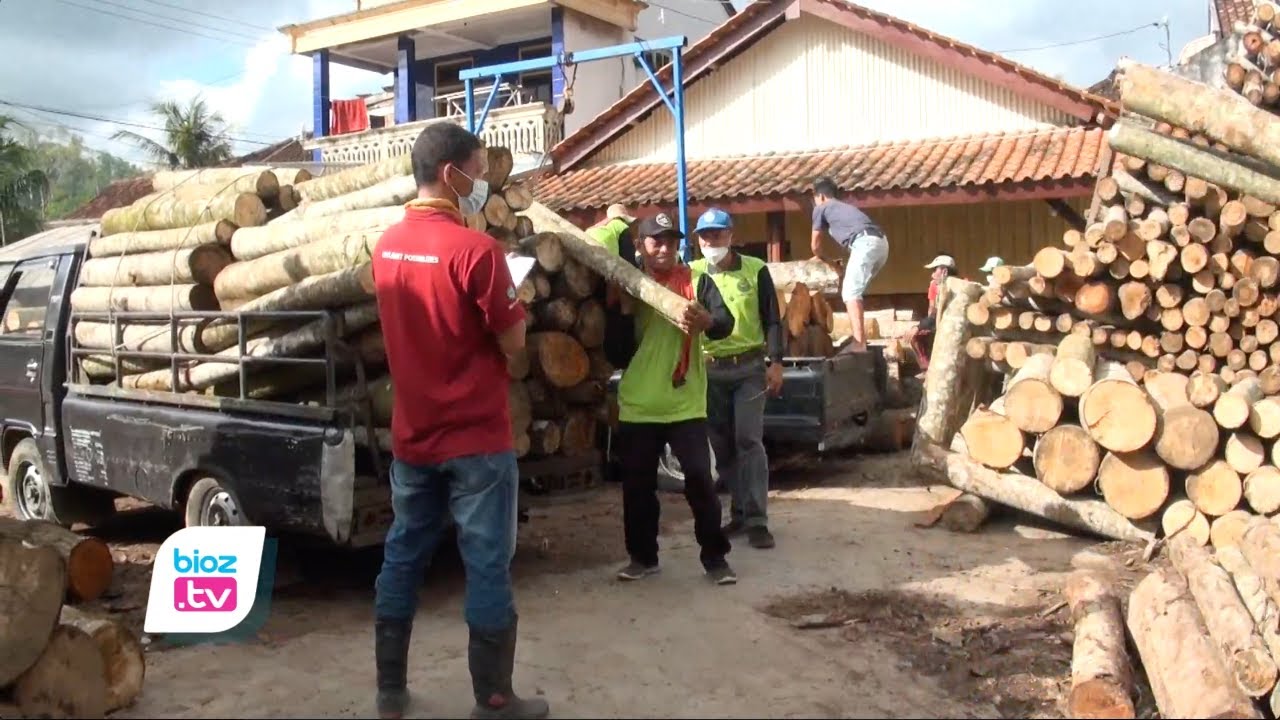 Geliat ekonomi saat pandemi, pengusaha sawmil asal Desa Bogoran, Kecamatan Kampak, Kabupaten Trenggalek justru mampu serap tenaga kerja lebih banyak. Pengalaman jatuh bangun selama mengelola usaha, dan dukungan permodalan dari pihak Bank, menjadi salah satu pemicu usahanya terus berkembang.