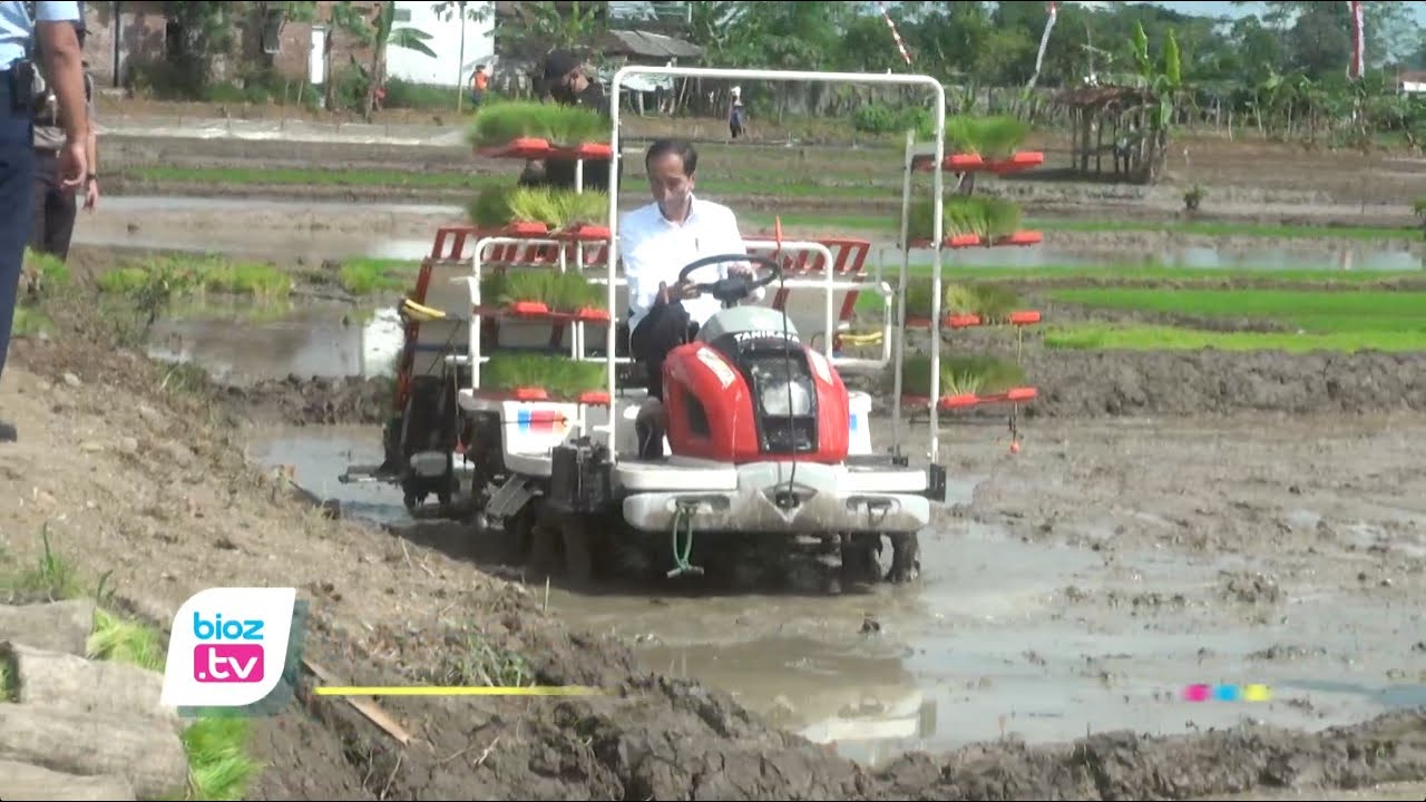 Hampiri petani di Desa Buluagung, Kabupaten Trenggalek, Presiden Joko Widodo jajal mesin penanam padi hingga tengah sawah. Dalam kesempatan ini Presiden juga menyempatkan dialog bersama sejumlah petani di saung. Presiden juga meminta agar Kementerian Pertanian segera tindak lanjuti keluhan Petani.