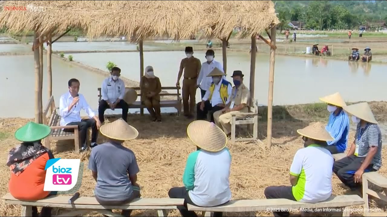 Sambangi petani di kabupaten Trenggalek yang sedang menanam padi, Presiden Joko widodo ajak sejumlah petani ngobrol bareng dan diskusi di saung pinggir sawah. Dalam kesempatan ini Presiden Jokowi meminta para petani sampaikan unek unek dan harapan demi peningkatan produktivitas Petani.