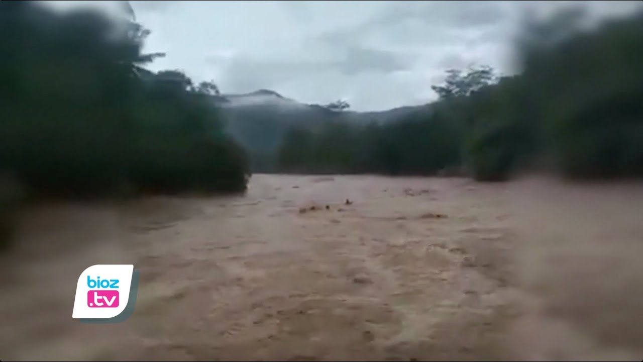 Video aksinya berenang dengan cara terjun ke sungai saat banjir bandang mendadak viral, 3 pemuda asal Kecamatan Panggul, Kabupaten Trenggalek, Jawa Timur akhirnya minta maaf. Meski aksi tersebut sudah menjadi tradisi sejak zaman kakek kakeknya terdahulu. Namun mereka berjanji tidak akan mengulanginya lagi