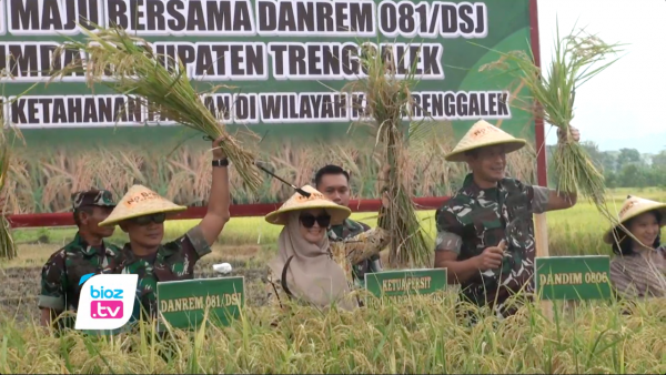 Misi Ketahanan Pangan, Danrem 081/DSJ Blusukan di Sawah Trenggalek Panen Perdana Padi Japonica