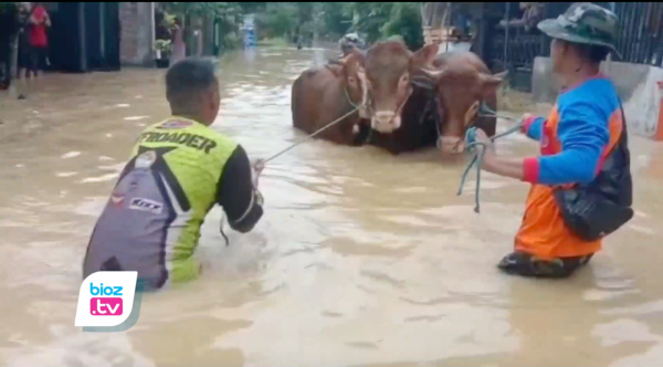 Hujan Terus Terusan, 5 Kecamatan di Trenggalek Terendam Banjir Sejumlah Jalan Tertimbun Longsor