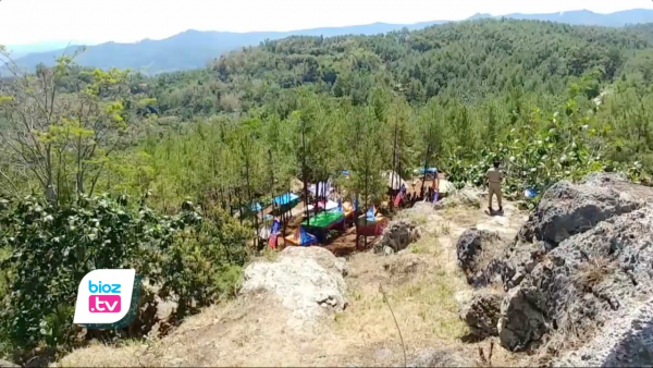 LMDH di Trenggalek Digelontor Dana Sharing Getah Pinus 1,2 M Dari Perhutani