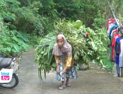 Tekan Potensi Bencana di Trenggalek, Mas Ipin Ajak LMDH Ambil Rejeki Dari Hutan Tanpa Merusak