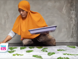 Mengintip Cara Produksi Kain & Busana Ecoprint di Trenggalek, Daun Sekitar Rumah Jadi Berkah