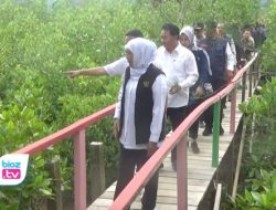 Bulan Maret 2023, Festival Mangrove Ke-4 Se Jawa Akan Digelar di Pantai Cengkrong Trenggalek