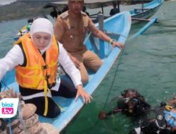 Kepincut Bawah Laut Pantai Mutiara Trenggalek, Gubernur Khofifah Tanam Terumbu Karang