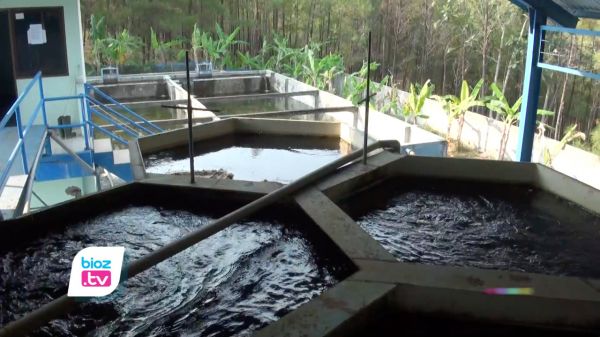 Tak Setor PAD, Ternyata Secara Hitungan Real PDAM Trenggalek Punya Keuntungan