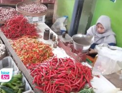 Sempat Meroket, Harga Cebe di Trenggalek Pada Pertengahan Ramadhan Justru Anjlok Drastis