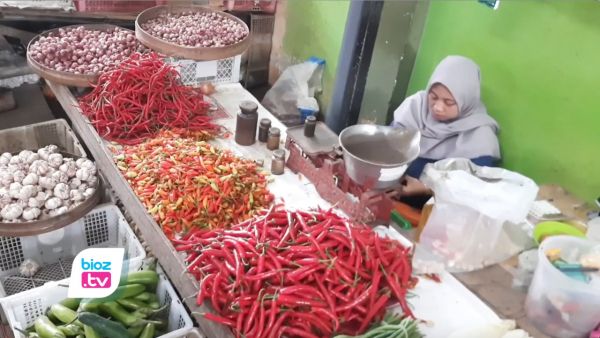 Sempat Meroket, Harga Cebe di Trenggalek Pada Pertengahan Ramadhan Justru Anjlok Drastis