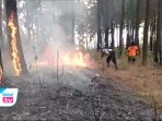 Kemarau Panjang, Area Lahan & Hutan di 21 Desa se- Trenggalek Terbakar
