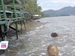 Banjir Rob Terjang Pesisir Selatan Trenggalek, Warung Porak Poranda, BPBD Imbau Warga Waspada