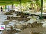 Kondisi Sekolah Pasca diterjang banjir Bandang
