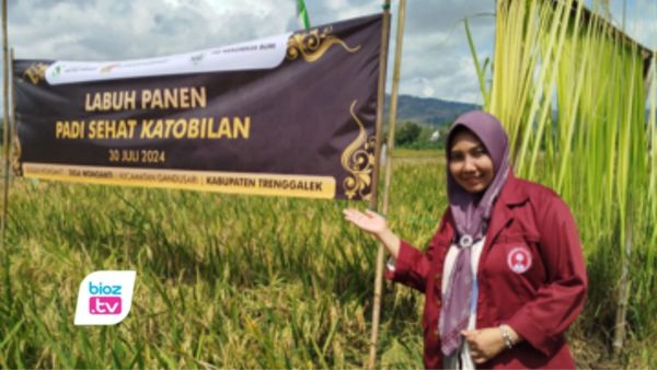Penelitian Mahasiswa ITB AD di Trenggalek, Pertanian Berbasis Kearifan Lokal Lebih Menguntungkan