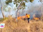 Gunung Orak-Arik Hangus Terbakar 3 Hektar, Pemadaman Terkendala Medan Curam