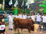 Tahun ini, PKB Trenggalek menyembelih tiga ekor sapi dan dua kambing di halaman kantor DPC