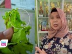 Kali ini, dugaan temuan ulat hijau di menu makan siang siswa SMA Negeri 2 Trenggalek mencuri perhatian publik.
