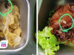Heboh Temuan Dugaan Telur Belatung & Ulat di Menu MBG TK Hingga SDN 1 Karangrejo Kampak Sejumlah orang tua mengaku menemukan kejanggalan pada menu ayam yang dibawa pulang anak mereka.
