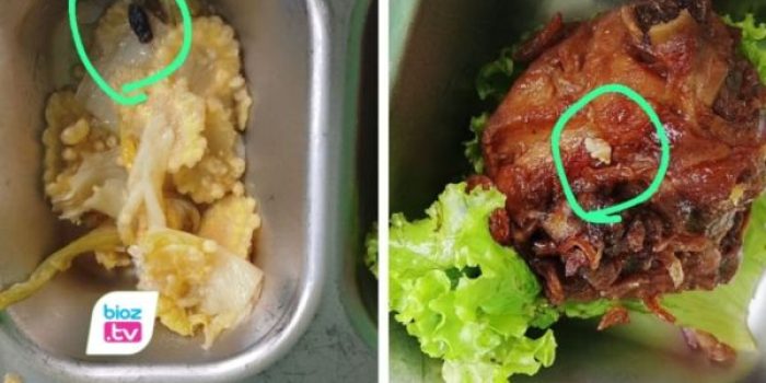 Sejumlah orang tua mengaku menemukan kejanggalan pada menu ayam yang dibawa pulang anak mereka.