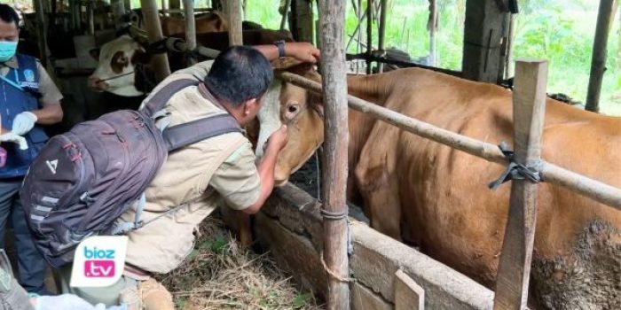 Disnakkan terus menggencarkan program vaksinasi tahap kedua