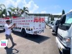 15 KDKMP di Trenggalek Terima Truk dan Motor, Tapi Baru 8 yang Beroperasi Hingga pertengahan Mei 2026, sebanyak 15 KDKMP di Trenggalek telah menerima bantuan berupa truk operasional dan motor roda tiga