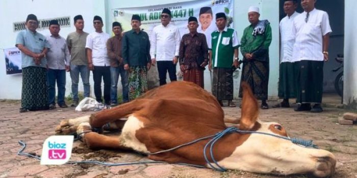 Anggota DPR RI Fraksi PKB Ahmad Iman Sukri memusatkan penyembelihan sapi kurban di Kantor PCNU Trenggalek