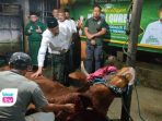 PKB Trenggalek Sembelih 3 Sapi Kurban, Gandeng PCNU Salurkan Daging ke Duafa dan Yatim DPC PKB Trenggalek bersama Fraksi Kebangkitan Bangsa menyembelih tiga ekor sapi kurban