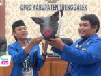 Bawa Replika Kepala Babi ke DPRD Trenggalek PMII Sebut Simbol Kecurigaan dalam Evaluasi MBG PMII Trenggalek membawa replika kepala babi dalam RDP DPRD saat membahas evaluasi Program MBG.