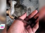 Pelanggan PDAM Trenggalek Sempat Heboh, Air Keran di Rumah Keluarkan Cairan Hitam Video air keran berwarna hitam viral di Trenggalek dan memicu kepanikan warga