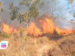20 Titik Hutan Trenggalek Rawan Terbakar, 3 Lokasi Dekat Permukiman Jadi Langganan Tiap Tahun Perhutani memetakan 20 titik rawan karhutla di Trenggalek. Tiga kawasan hutan dekat permukiman bahkan hampir setiap tahun mengalami kebakaran.