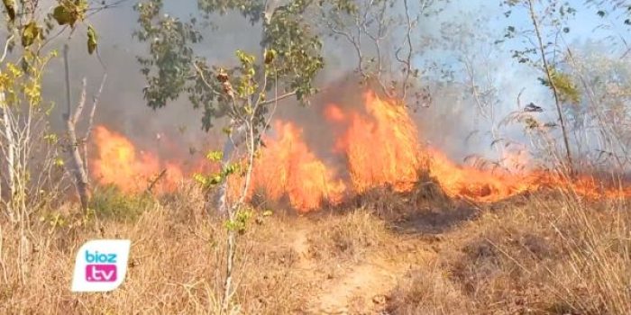 Perhutani memetakan 20 titik rawan karhutla di Trenggalek. Tiga kawasan hutan dekat permukiman bahkan hampir setiap tahun mengalami kebakaran.