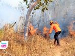 Perhutani membeberkan empat pemicu utama kebakaran hutan di Trenggalek