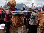 Hasil tangkapan mencapai 7 ton dan harga tongkol naik dua kali lipat.