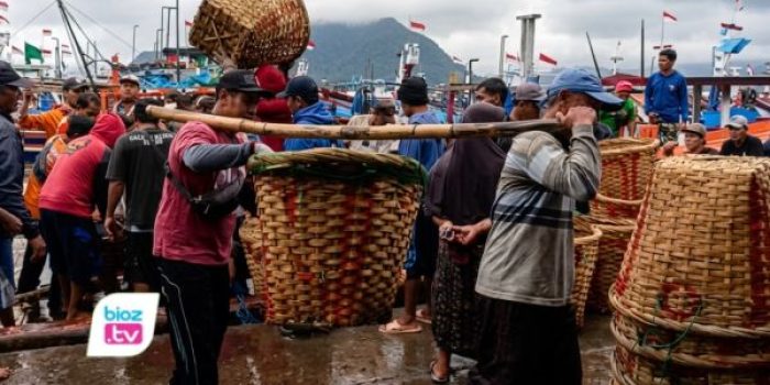 Hasil tangkapan mencapai 7 ton dan harga tongkol naik dua kali lipat.