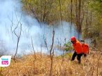 Perhutani mengusut dugaan unsur kesengajaan dalam pembakaran hutan di Trenggalek