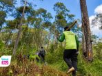 Wilayah Kekuasaan Perhutani di Trenggalek Menyusut, 39.480 Hektare Hutan Kini Dikuasai 16 KTH Sebanyak 39.480,73 hektare kawasan hutan di Trenggalek kini masuk skema KHDPK