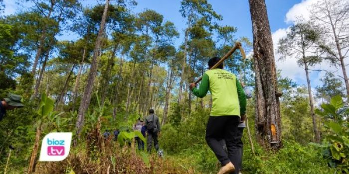 Sebanyak 39.480,73 hektare kawasan hutan di Trenggalek kini masuk skema KHDPK