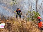 74,29 Hektare Lahan dan Hutan Trenggalek Terbakar, Karangan Sumbang Luasan Terbesar Karhutla di Trenggalek hingga 10 September 2026 mencapai 74,29 hektare di tujuh kecamatan.