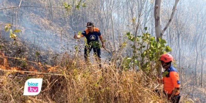 Karhutla di Trenggalek hingga 10 September 2026 mencapai 74,29 hektare di tujuh kecamatan.