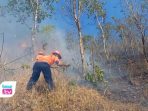 95 Hektare Lahan dan Hutan di Trenggalek Terbakar, Hanya Empat Kecamatan Nihil Karhutla BPBD Trenggalek mencatat karhutla membakar 95 hektare lahan di 10 kecamatan hingga September 2026