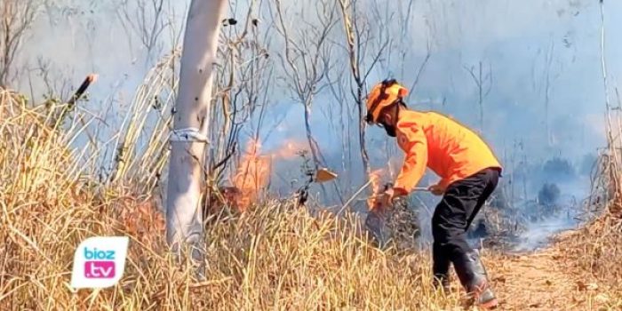 BPBD Trenggalek mengandalkan alat tradisional gepyokan dan sekat bakar untuk memadamkan karhutla