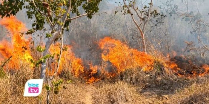 Kebakaran hutan di wilayah kerja Perhutani KPH Kediri Selatan mencapai 128,55 hektare